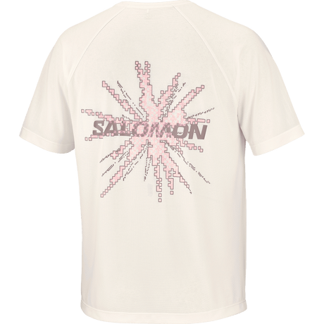 Salomon Shakeout Core Tee GFX Heren | Trail.nl