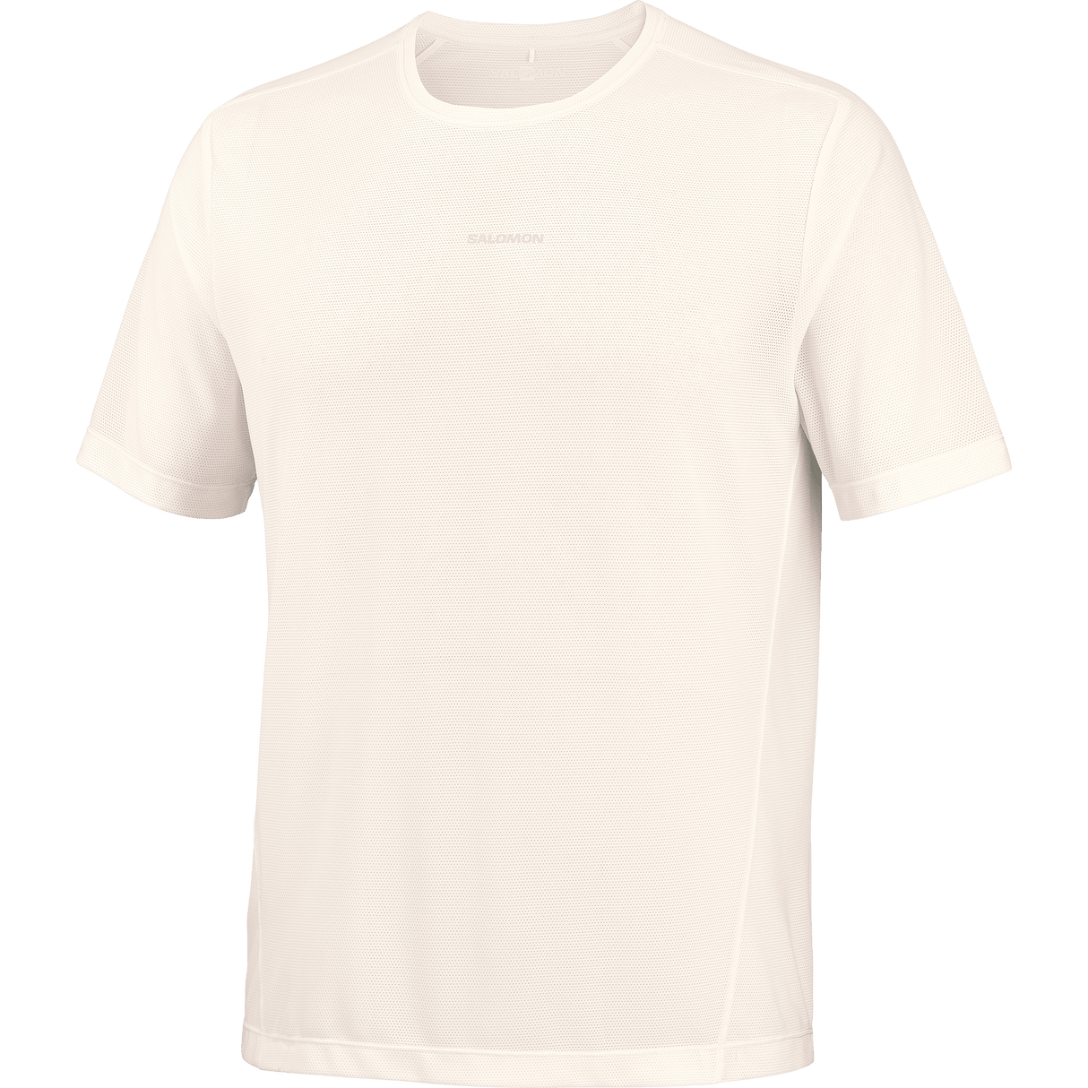 Salomon Shakeout Core Tee GFX Heren | Trail.nl