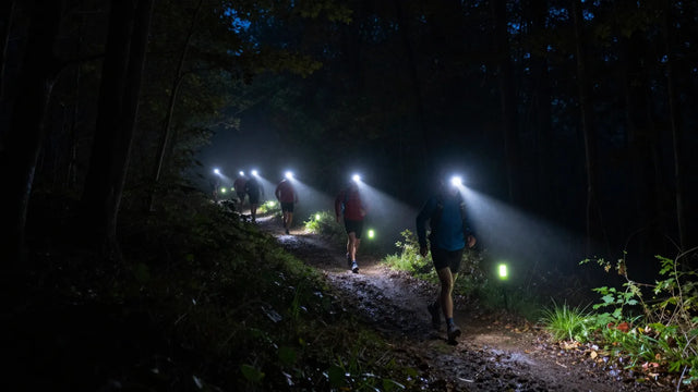 Twentse Night Trail RUNenschede